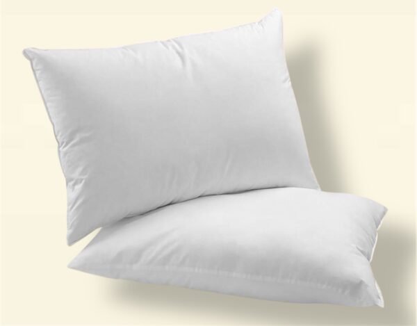 Lot de 2 Oreillers