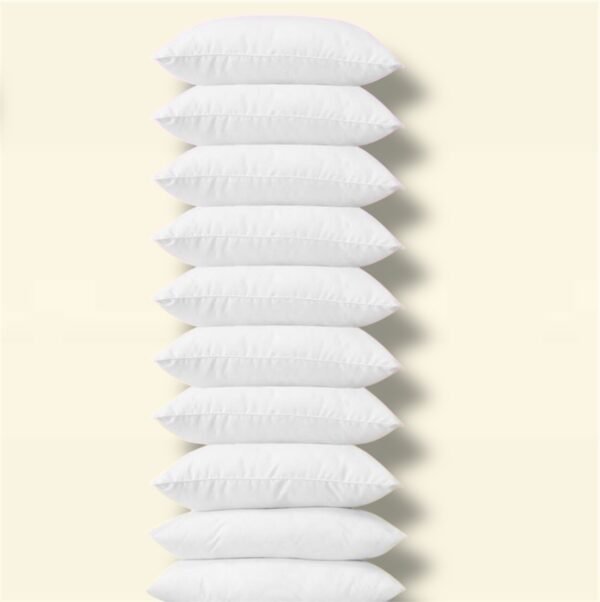 photoroom_20250102_204647 Lot de 10 Oreillers